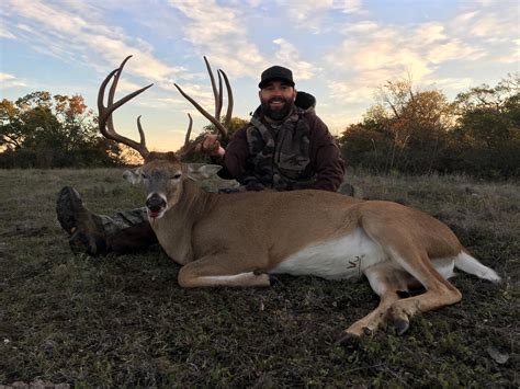 Few <b>hunting</b> experiences are as thrilling as drawing down on a trophy whitetail buck, and if it's your dream to have this adventure, Stone Creek Ranch can help make that dream a reality. . North texas hunting